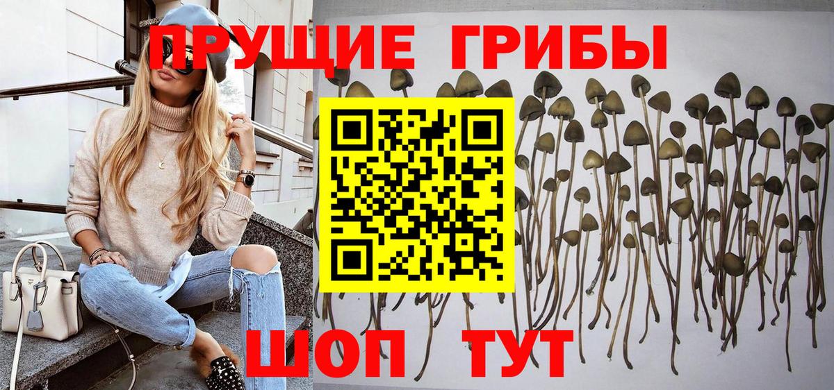 Псилоцибиновые грибы Magic Shrooms Алушта