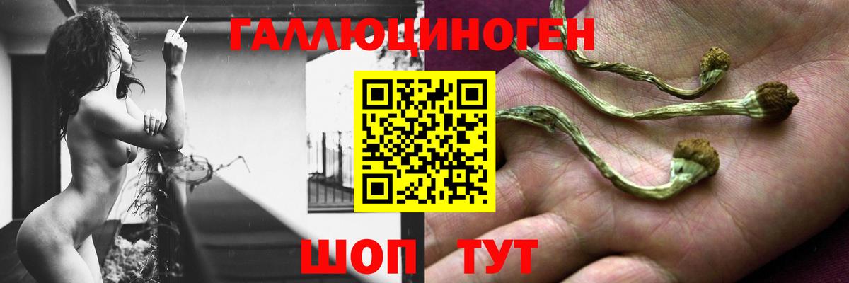 Псилоцибиновые грибы мицелий  Псилоцибиновые грибы Magic Shrooms  Вход с VPN  Алушта 